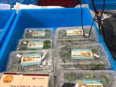 细沙青团-王家沙点心店(南京西路总店)