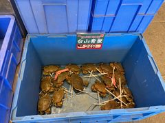 -飞尝蚝·顺德菜·鱼生(顺德总店)