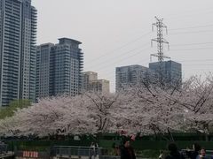-西北湖绿化广场