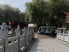 -洛阳市隋唐城遗址植物园