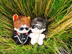 -白草畔自然风景区