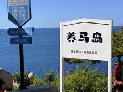 -养马岛旅游度假区
