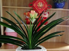 -千岛湖希尔顿休闲艇俱乐部