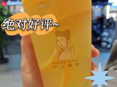 -沪上阿姨·精选茶饮(肥西吉园商业街店)