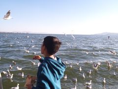 -滇池海埂公园