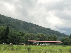 -瑞穗牧场