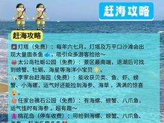 -日照灯塔风景区