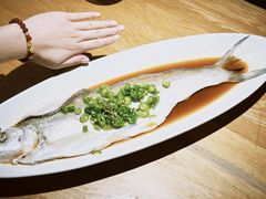 双椒蒸钱江白条-浙里本味·宴四季江南(三台山路店)