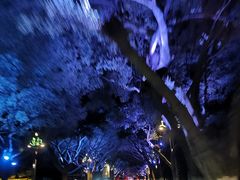 -乐山市博物馆