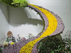 -杭州植物园