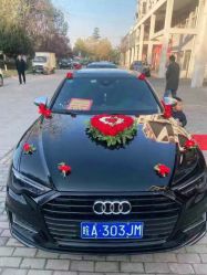 -蚂蚁婚车