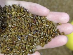 -幻贝家儿童乐园(苏州中心店)