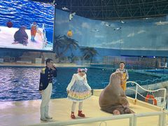 -泉城欧乐堡海洋极地世界