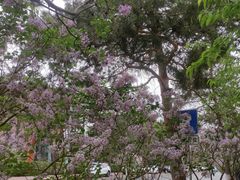 -长春市南湖公园