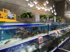 水产区-盒马鲜生(财富中心店)