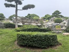 -中国唐苑