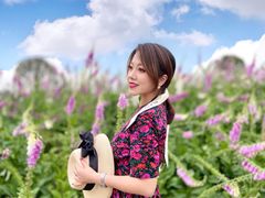 -紫颐香薰山谷景区
