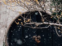 -惠山古镇·寄畅园