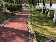 -滨湖塘西河公园