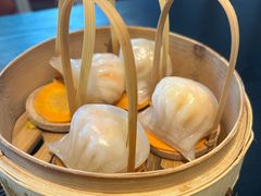 招牌虾饺皇-金鼎轩(鸟巢北辰荟店)