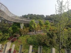 -福道
