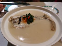 养颜白汁河豚-肆月河豚·新淮扬(金融街店)