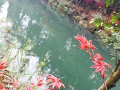 -重庆九凤瑶池海明山庄