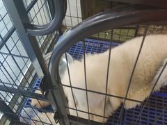 -MOJO密室逃脱(中街旗舰店)