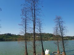 -南国桃园旅游度假区