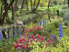 -上海共青森林公园