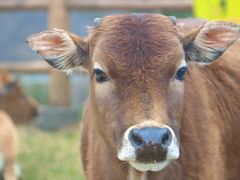 -天龙顶山地公园