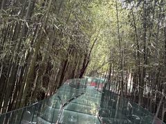 -竹泉村旅游度假区