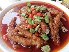 -柏合黄记豆腐皮饭店