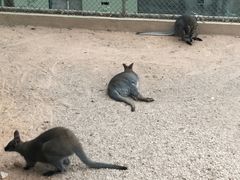 -广东茂名森林公园