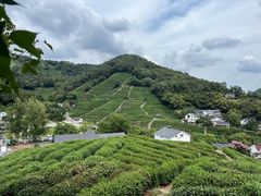 -西湖风景区十里琅珰-五云山