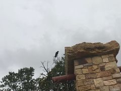 景点-科罗拉多大峡谷