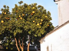 -丝绸小镇荻港古村
