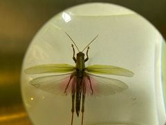 -香港科学馆