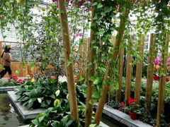 -兰陵国家农业公园