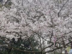 -杭州少年儿童公园
