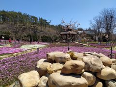 -棒棰岛宾馆景区