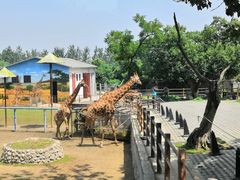 -西安秦岭野生动物园