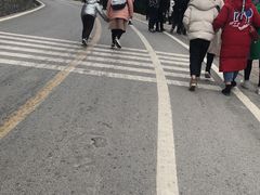 -梦幻奥陶纪景区