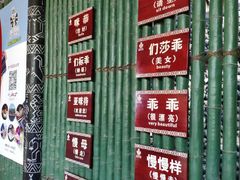 -海南槟榔谷黎苗文化旅游区