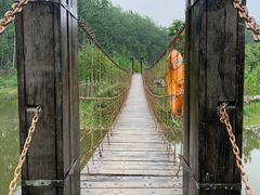 -合肥滨湖国家森林公园