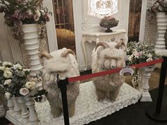 -新兴家喻酒家·羊城名宴(昌岗店)