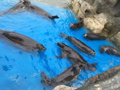 -华夏文旅海洋公园