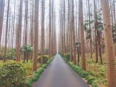 -上海怡沁园度假酒店