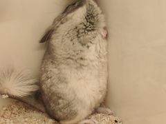 -龙猫仔乐园(惠福东路店)