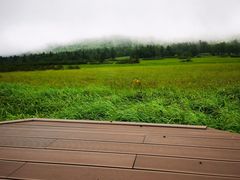 -凤凰山国家森林公园